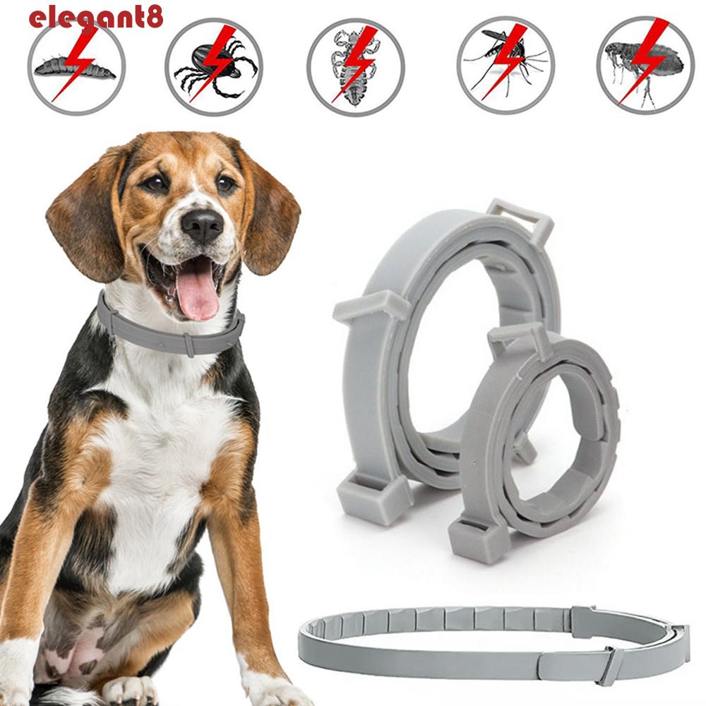 Vòng Cổ ChốNg BọC ChốNg SủA Cho Thú Cưng