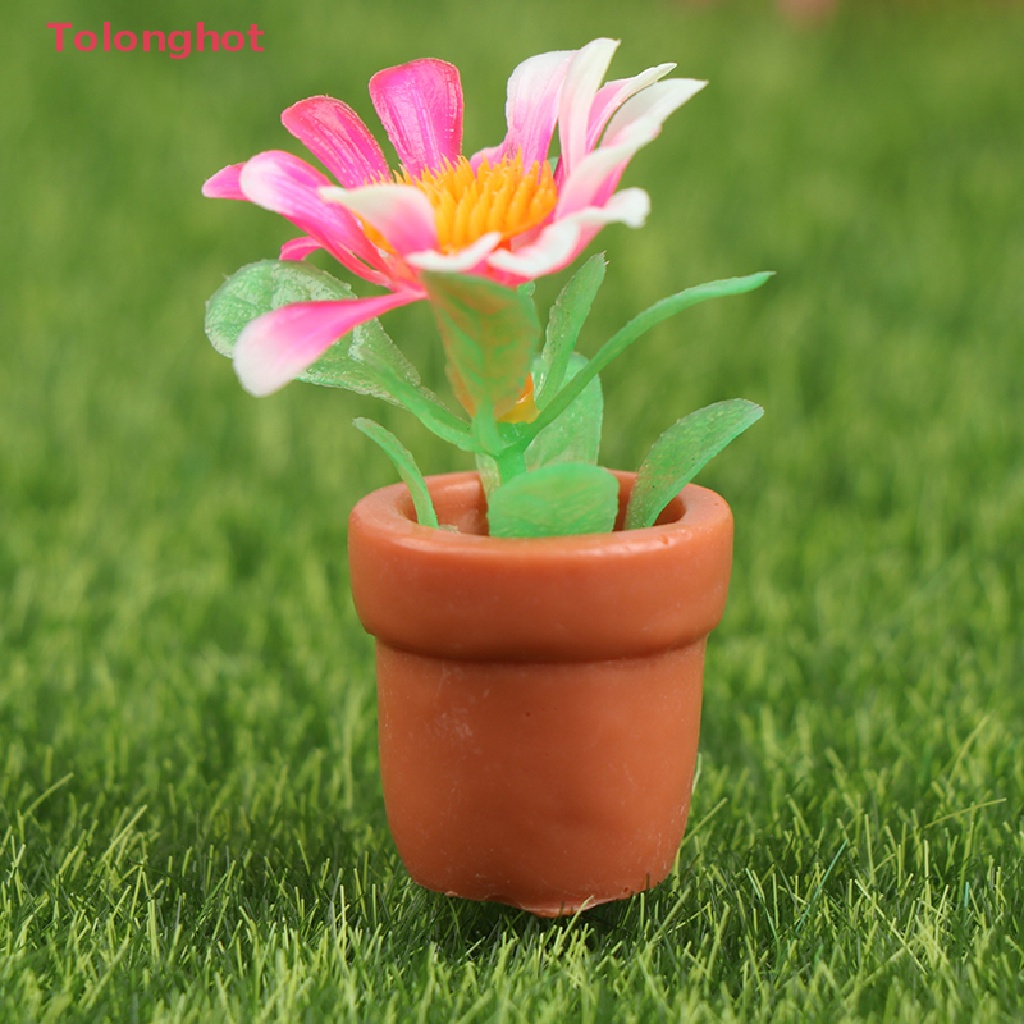 Bộ 5 Chậu Cây Mini Tỉ Lệ 1: 12 Dùng Trang Trí Nhà Búp Bê