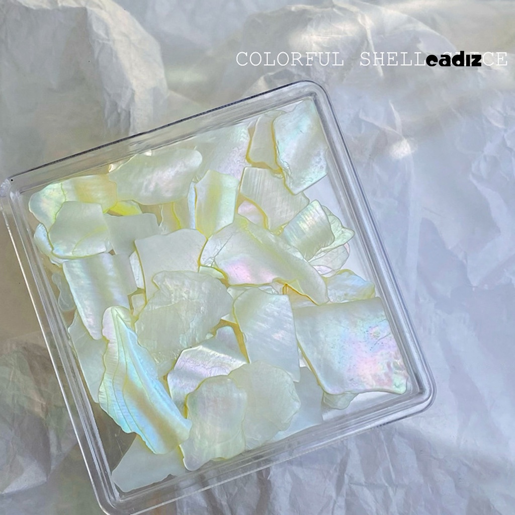 1 Hộp Vỏ Sò Tự Nhiên Siêu Mỏng Trang Trí Móng Tay Chống Rơi DIY