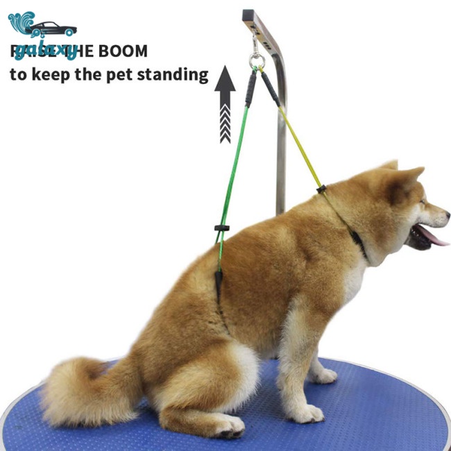 Galaxy Vòng Đeo Tay Giữ Thú Cưng Bằng Thép Không Gỉ Màu Sắc Ngẫu Nhiên