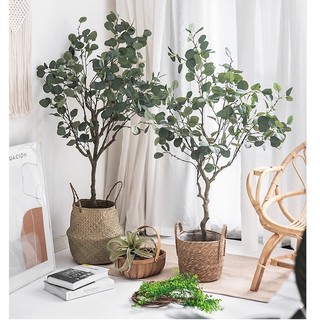 Cây bạch đàn, lá rùa trang trí nhà, phòng khách - Cây giả cho không gian thêm sống động