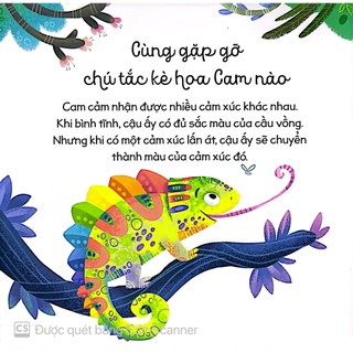 Sách - Cầu Vồng Cảm Xúc (đinh tị)