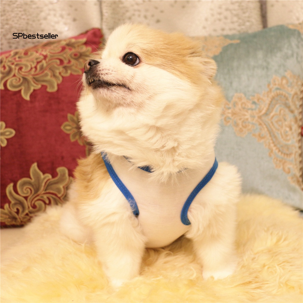 Áo Thun Hai Lớp Thấm Hút Mồ Hôi In Họa Tiết Hoạt Hình Dễ Thương Thời Trang Mùa Hè Cho Cún Cưng