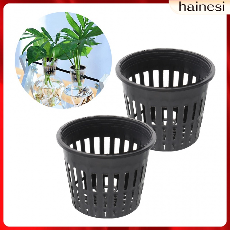 Set 10 Tấm Lưới Trồng Cây 2 Inch