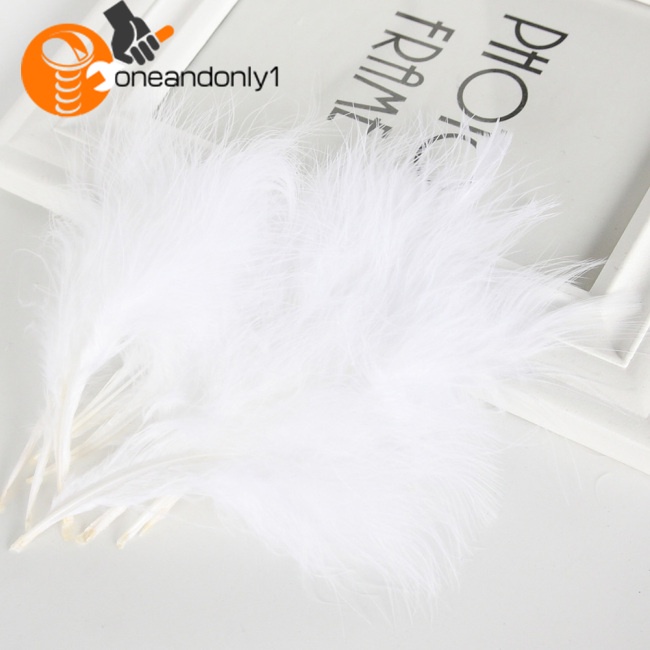 Set 50 Lông Vũ 4-6 Inches10-15cm Nhiều Màu Sắc Dùng Trang Trí