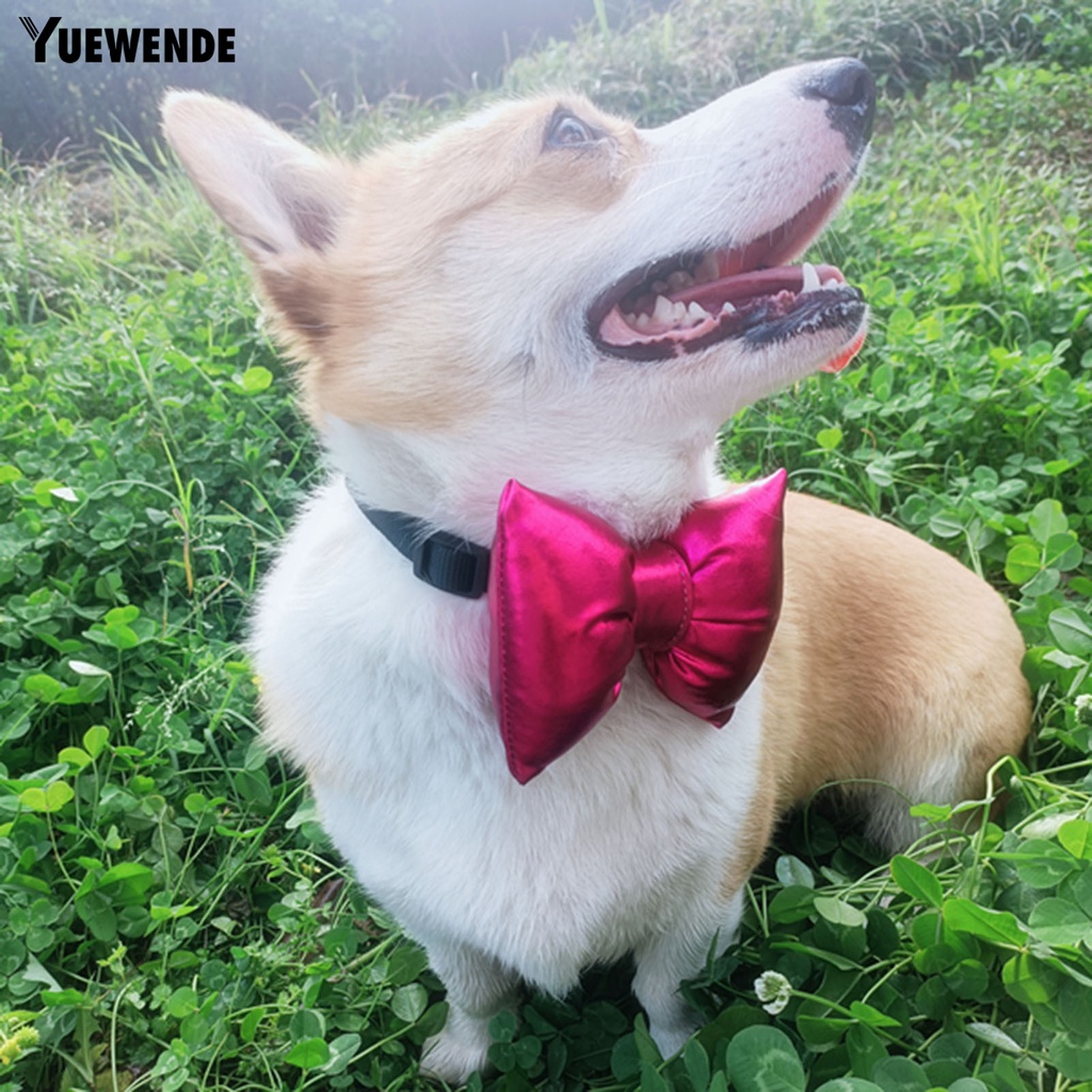 Yq.e Phụ Kiện Vòng Cổ Thắt Nơ Đáng Yêu Trọng Lượng Nhẹ Cho Thú Cưng Chụp Ảnh