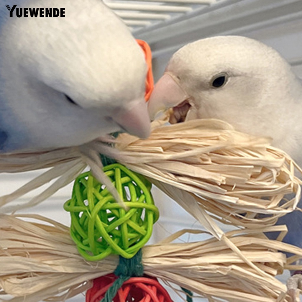 Đồ Chơi Mài Răng An Toàn Cho Chim Cảnh