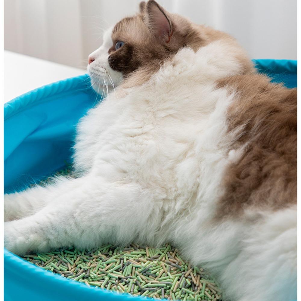 Aaron1 Xẻng Xúc Cát / Hộp Bán Kín Di Động Bằng PVC Chống Thấm Nước Có Khay Cho Mèo Cưng Ngoài Trời