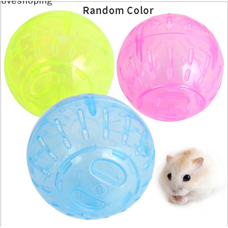 Bóng Đồ Chơi Tập Thể Dục Cho Chuột Hamster