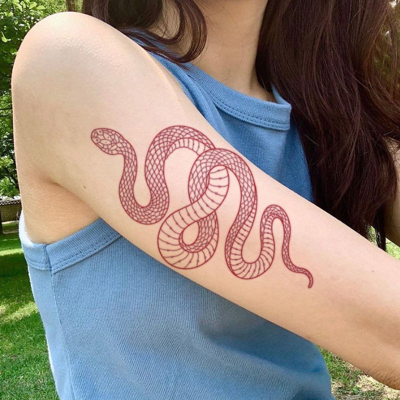 Hình Xăm Dán Tạm Thời Hình Rắn Đỏ Chống Nước