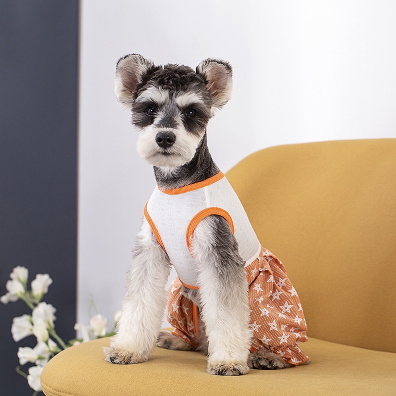 Quần Cotton Mỏng Bốn Chân Dáng Phồng Dành Cho Thú Cưng 27 Món
