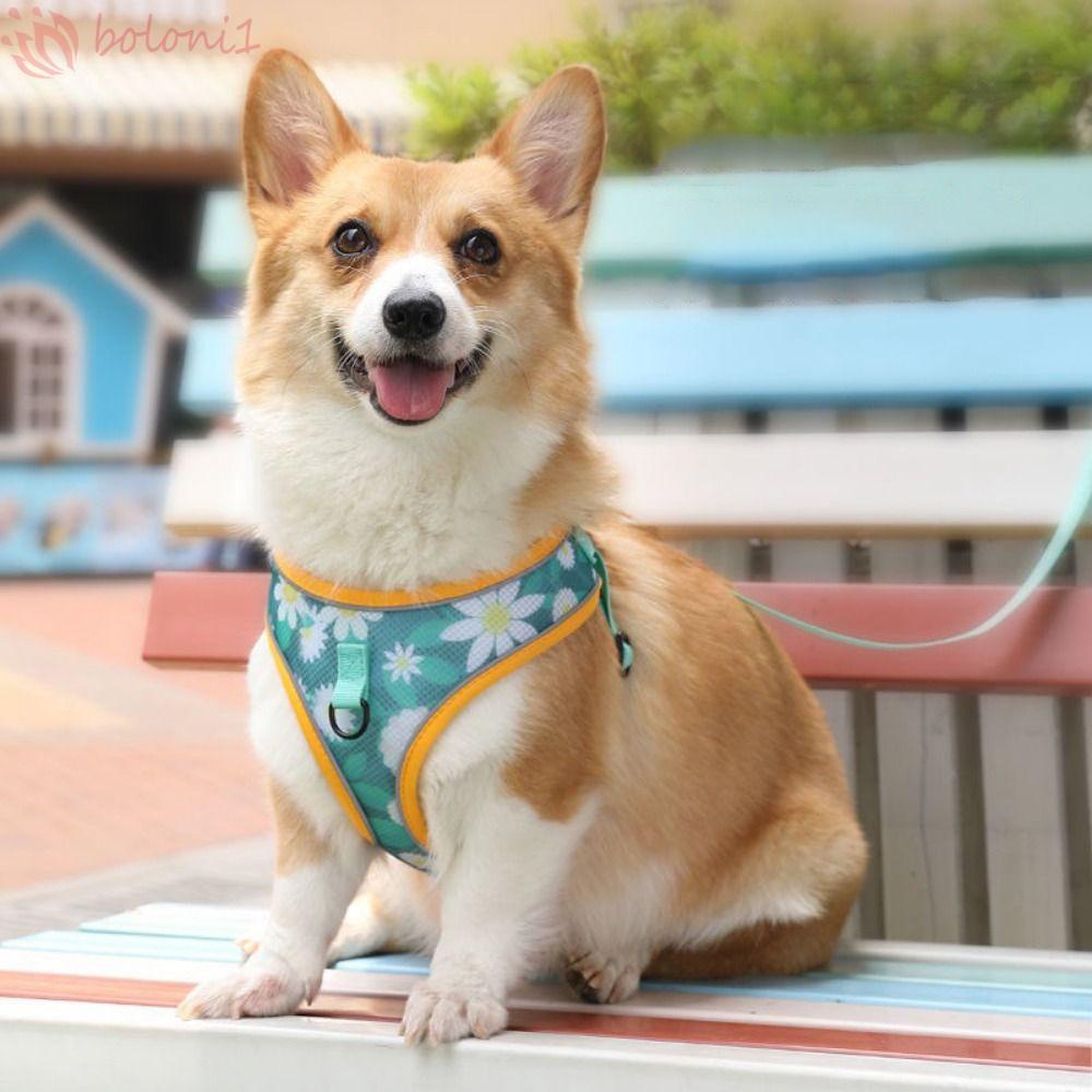 [COD] Dây Dắt Thú Cưng Đi Dạo Bằng Vải Lưới Chống Lạc In Họa Tiết Dễ Thương Tùy Chỉnh Tiện Dụng