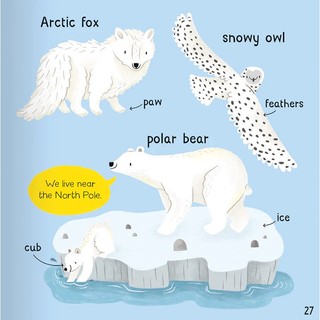 Wonderful Words: Animals!