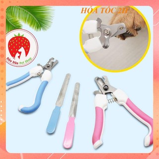 [ Bán sỉ ] PHỤ KIỆN CHÓ MÈO kìm cắt móng (phát hình ngẫu nhiên)