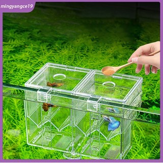 Cod bể cá mini acrylic trong suốt với các ngăn chia có thể tháo rời bể cá beta bát cá cho tôm cá