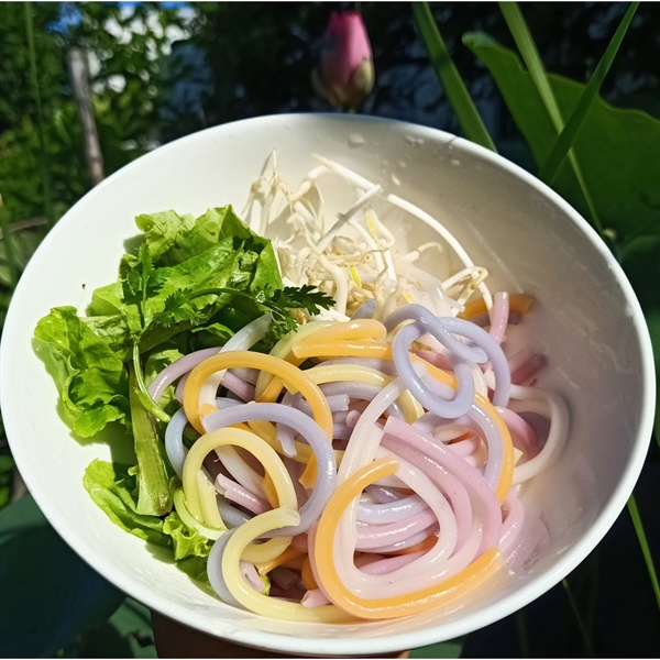 Bánh canh rau củ nấu ngon nhà Tastii