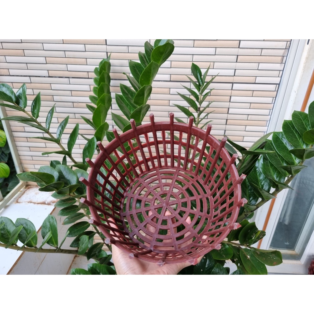 [Rẻ vô địch] sét 10 chậu nan phụ màu nâu f30 kèm 10 dây treo