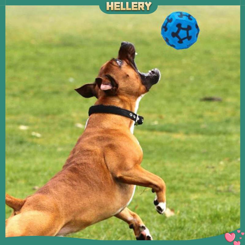 Đồ Chơi Bóng Gặm Tương Tác Siêu Bền Vui Nhộn Cho Thú Cưng