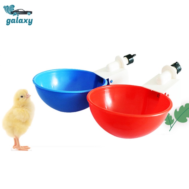 Galaxy Cốc Uống Nước Tự Động Cho Gà / Chim Bồ Câu