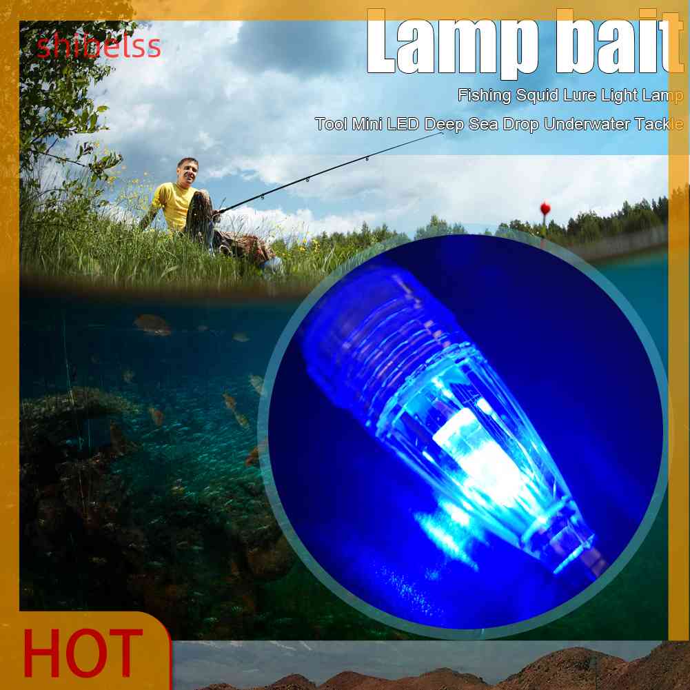 Đèn Mồi Dụ Cá Dưới Nước, Chạy Bằng Pin, Hình Con Mực