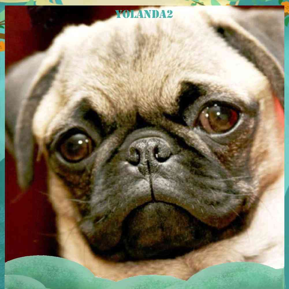 Tranh Đính Đá Kim Cương Toàn Bộ 5D DIY Hình Vẽ Chó Trang Trí Nhà Cửa