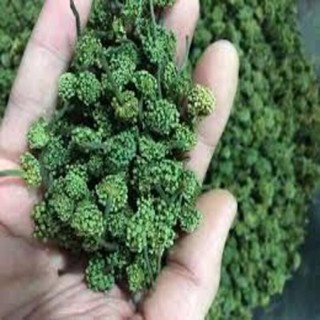 Hoa tam thất bắc sa pa loại 1 500g - httbsplc