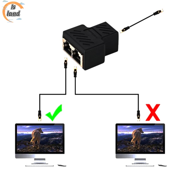 Bộ Chia Cổng Mạng LAN RJ45 1 Sang 2 Cổng Kép CAT 5 / CAT 6