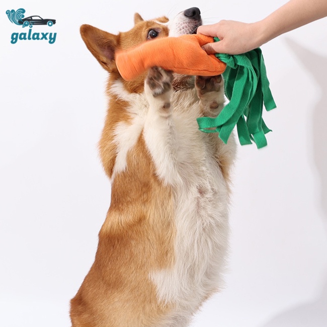 Galaxy Đồ Chơi Cà Rốt 2 Trong 1 Cho Thú Cưng