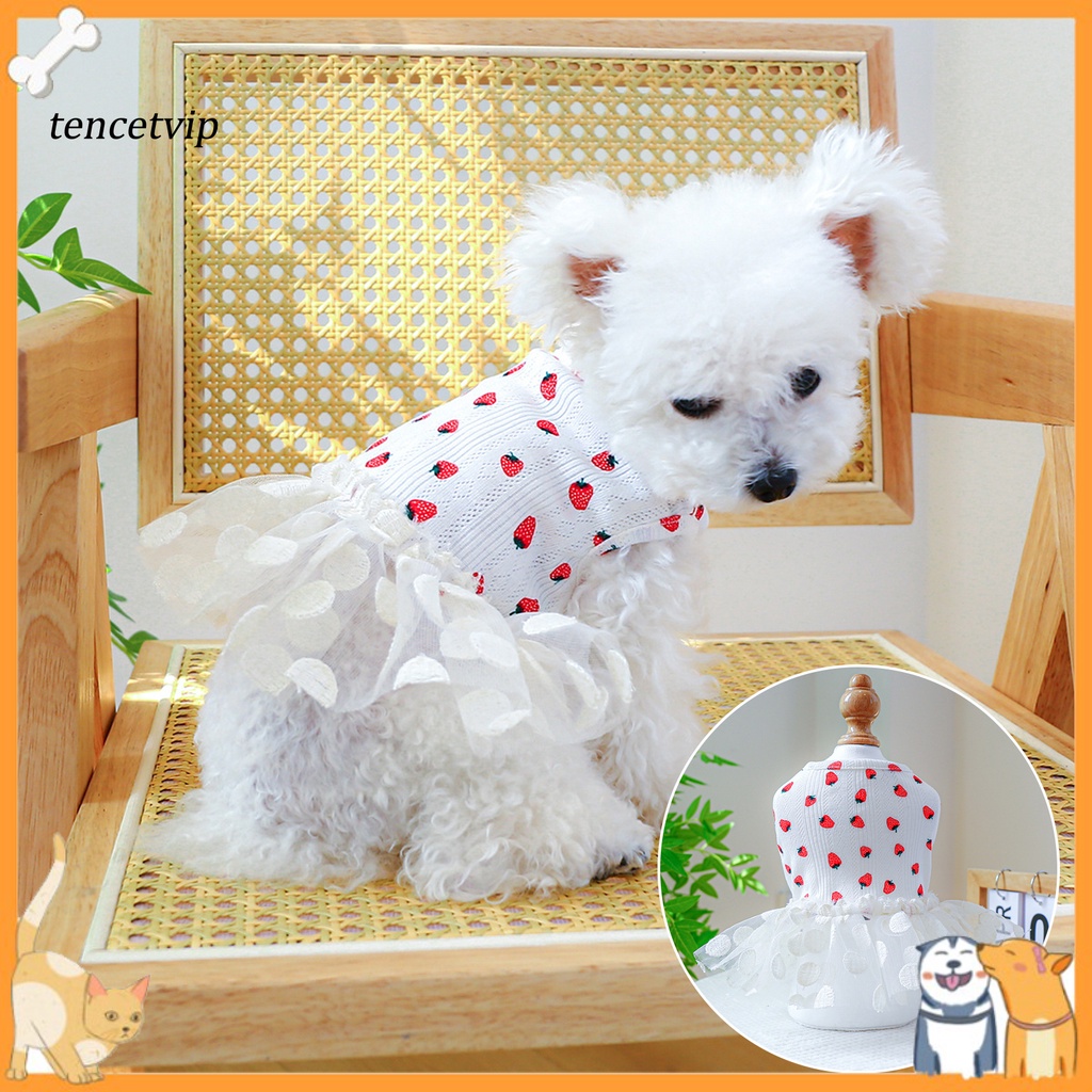 Đầm Tulle Cổ Tròn Viền Lưới Họa Tiết Dâu Tây Dễ Thương Cho Thú Cưng