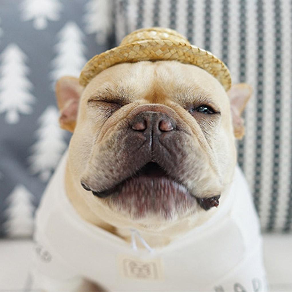 Mũ Rơm Chống Nắng Dễ Thương Cho Thú Cưng