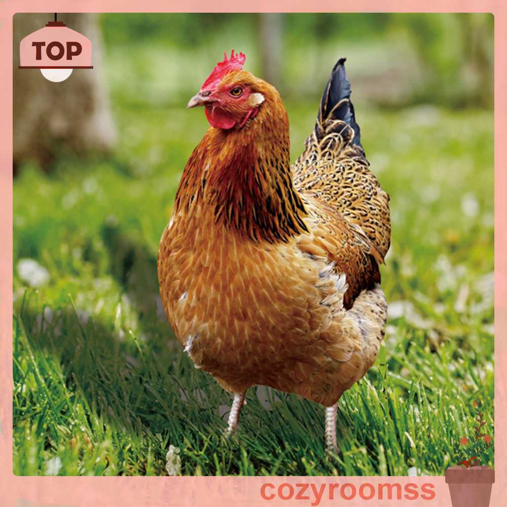 Cọc Cắm Vườn Hình Máy Bay 2D Bằng Acrylic