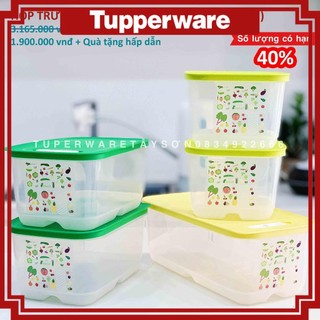 Bộ hộp trữ mát có nút hô hấp Ventsmart 5 hộp Tupperware