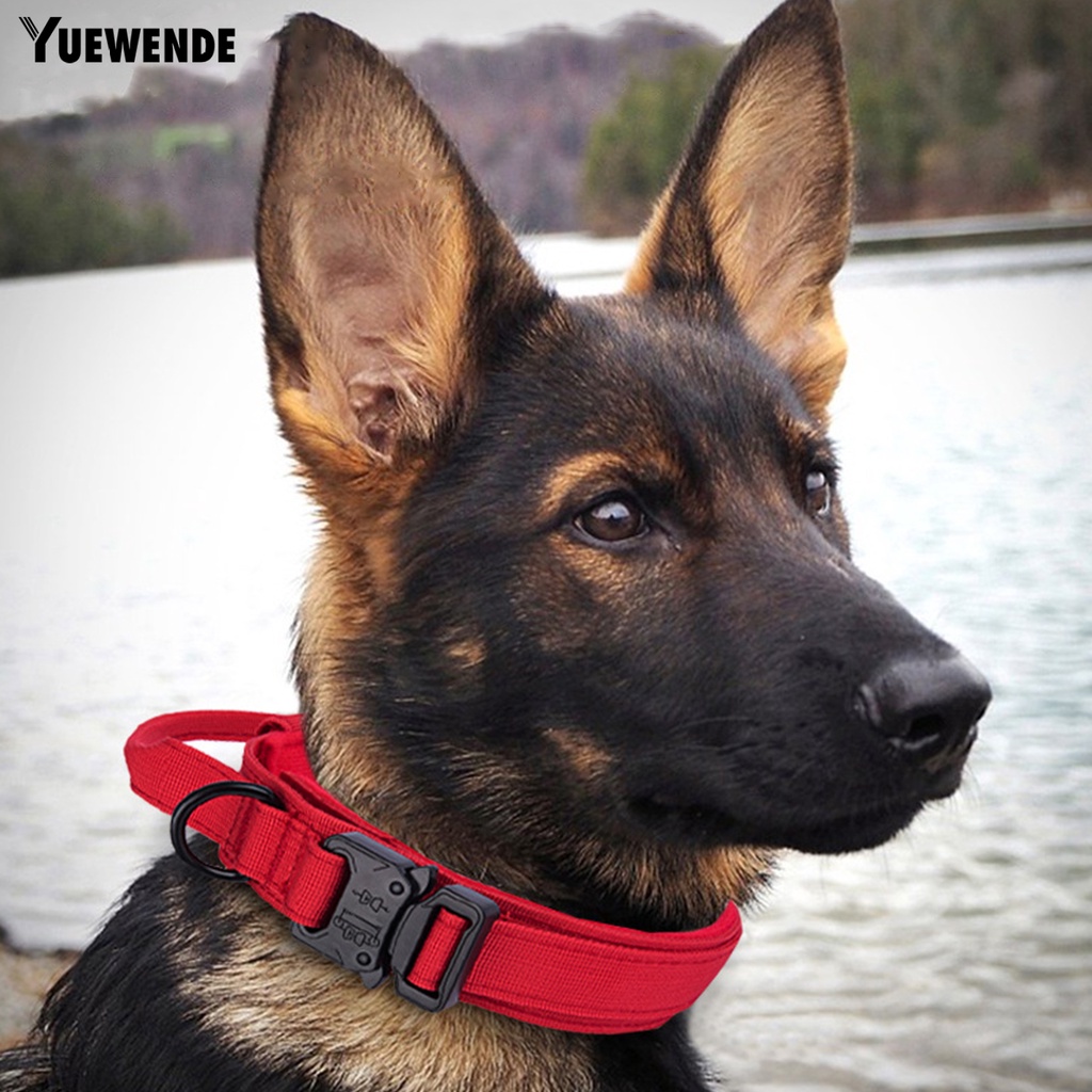 Vòng Cổ Nylon Thoáng Khí An Toàn Cho Thú Cưng YQ.E