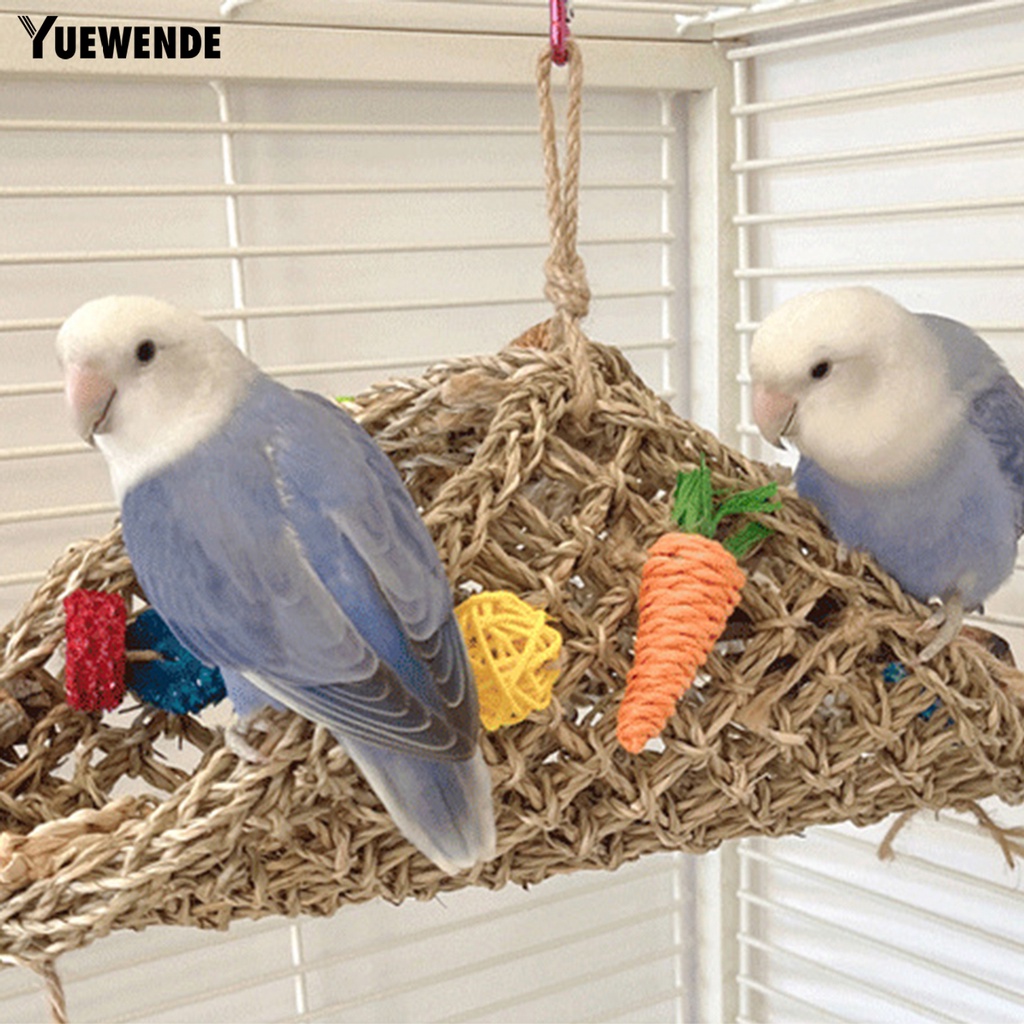 Đường Hầm Đồ Chơi Chống Trầy Xước Chống Cắn Dễ Tháo Rời Cho Vẹt