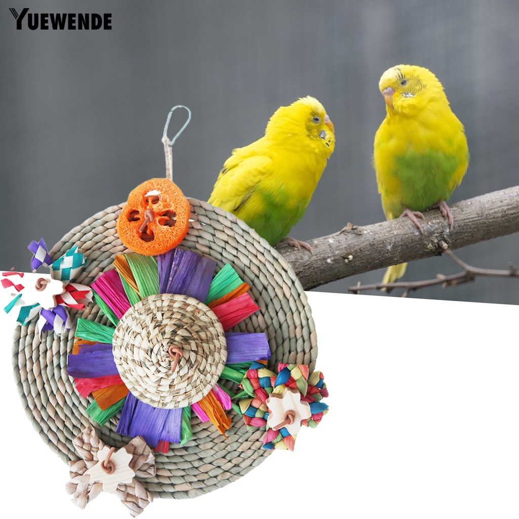 Đồ Chơi Treo Chống Trầy Xước Chống Mài Mòn Cho Chim Vẹt