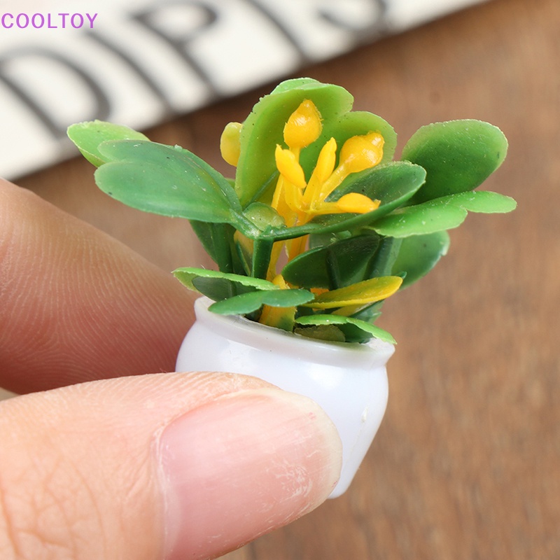 Set 5 Mô Hình Chậu Cây Mini Tỉ Lệ 1: 12 Dùng Để Trang Trí Nhà Búp Bê