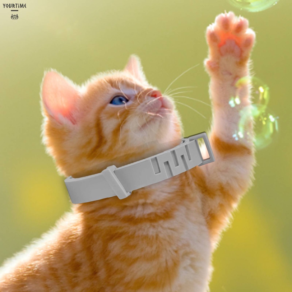 Vòng Cổ BằNg Silicone Cho Thú Cưng