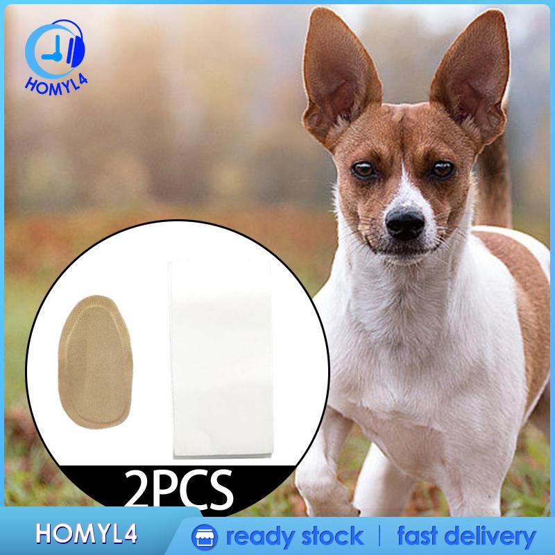 Set 2 Miếng Dán Cố Định Tai Đứng Hình Tai Cún