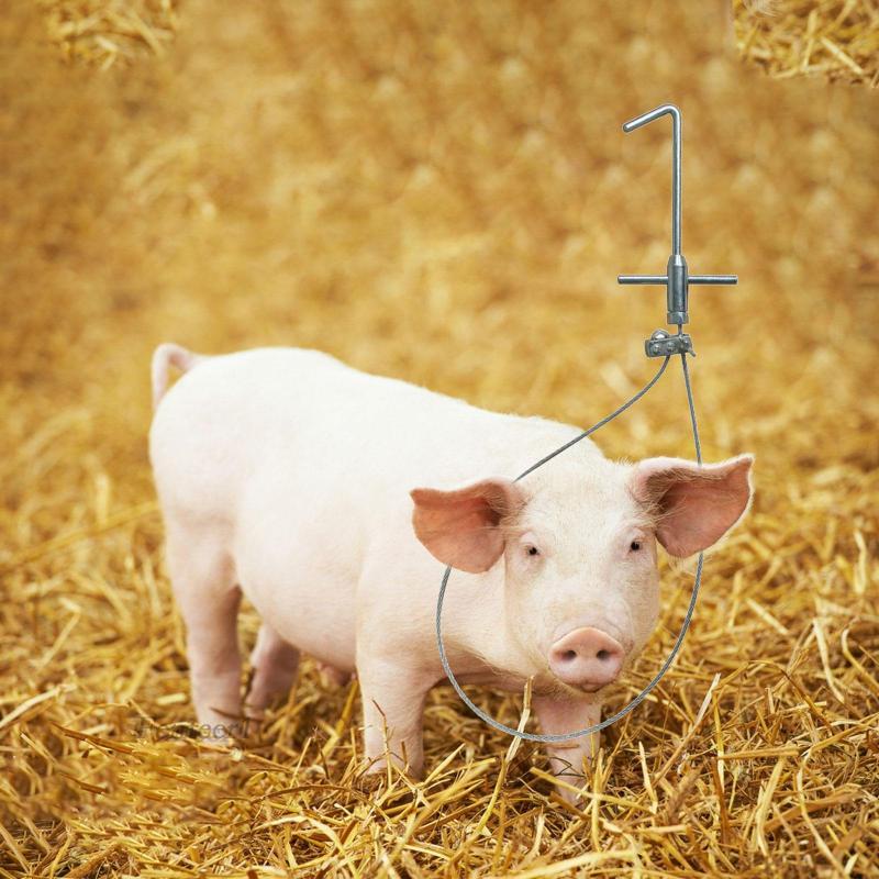 [Fenteer1] Giá Đỡ Máy Bắt Heo / Chó Điều Khiển Nặng