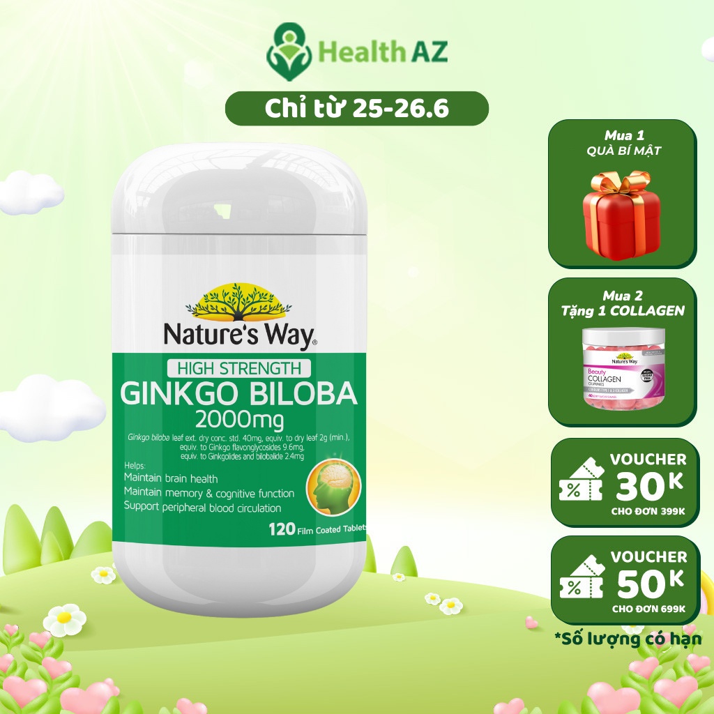Viên Uống Bổ Não Ginkgo Biloba  2000mg NATURE'S WAY Tăng Tuần Hoàn Máu, Tăng Cường Trí Nhớ, Chống Oxi Hóa, Hộp 120 Viên