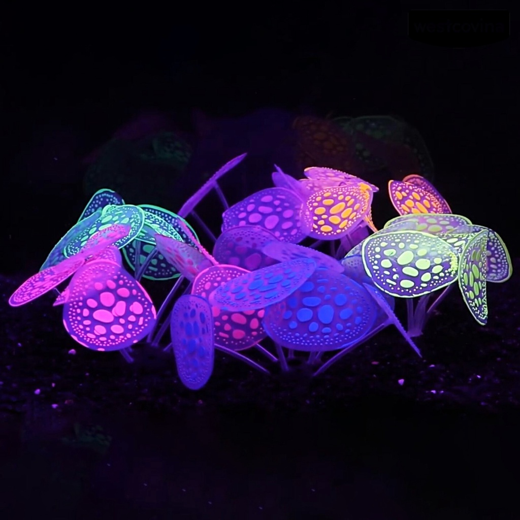 [COD]♞San Hô Silicone Màu Dạ Quang Dùng Trang Trí Bể Cá