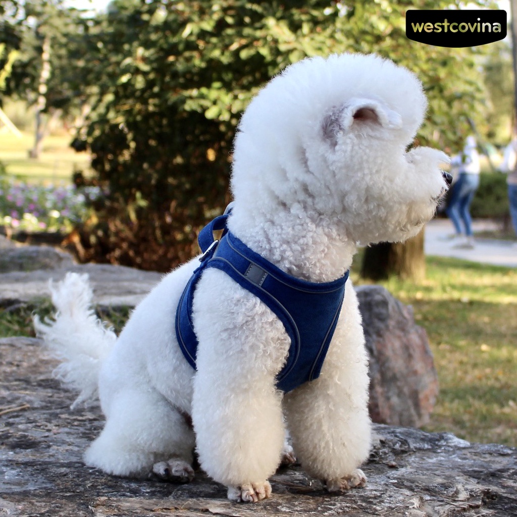 [COD]♞Dây Dắt Thú Cưng Đi Dạo Có Thể Điều Chỉnh Kích Thước Với Dải Phản Quang