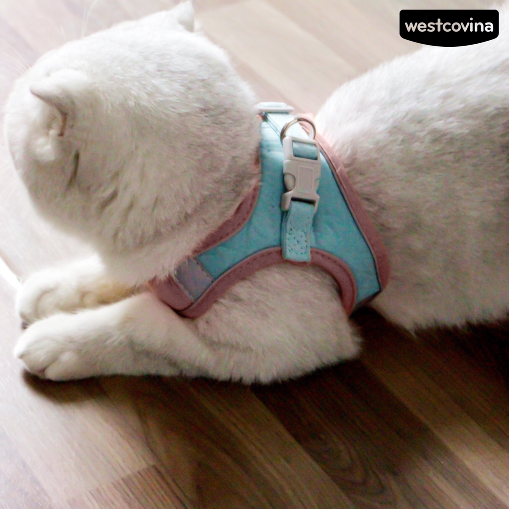 [COD]♞Dây Dắt Thú Cưng Đi Dạo Có Thể Điều Chỉnh Kích Thước Với Dải Phản Quang