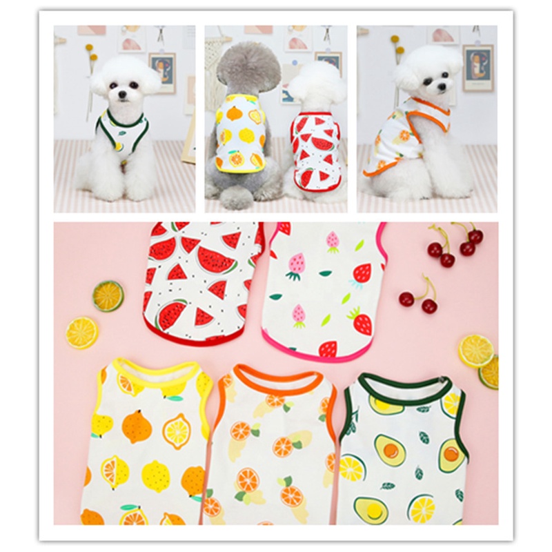 Áo Tank Top Hai Dây Mỏng Thoáng Khí In Họa Tiết Trái Cây Dễ Thương Thời Trang Xuân Hè Cho Thú Cưng