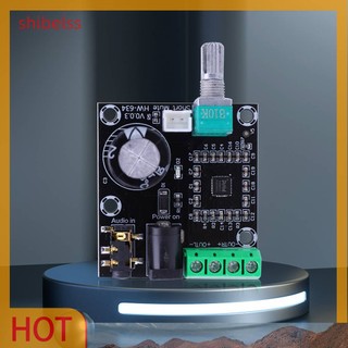 Mô-đun khuếch đại âm thanh pam8610 class d 15w * 2 dc 12v