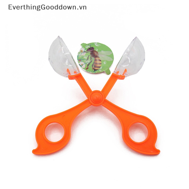 Everthinggooddown Kéo Cầm Tay Trong Suốt Bắt Côn Trùng Bọ Cá Xúc Tác Sinh Học Ngoài Trời Trong Nhà Và Ngoài Trời