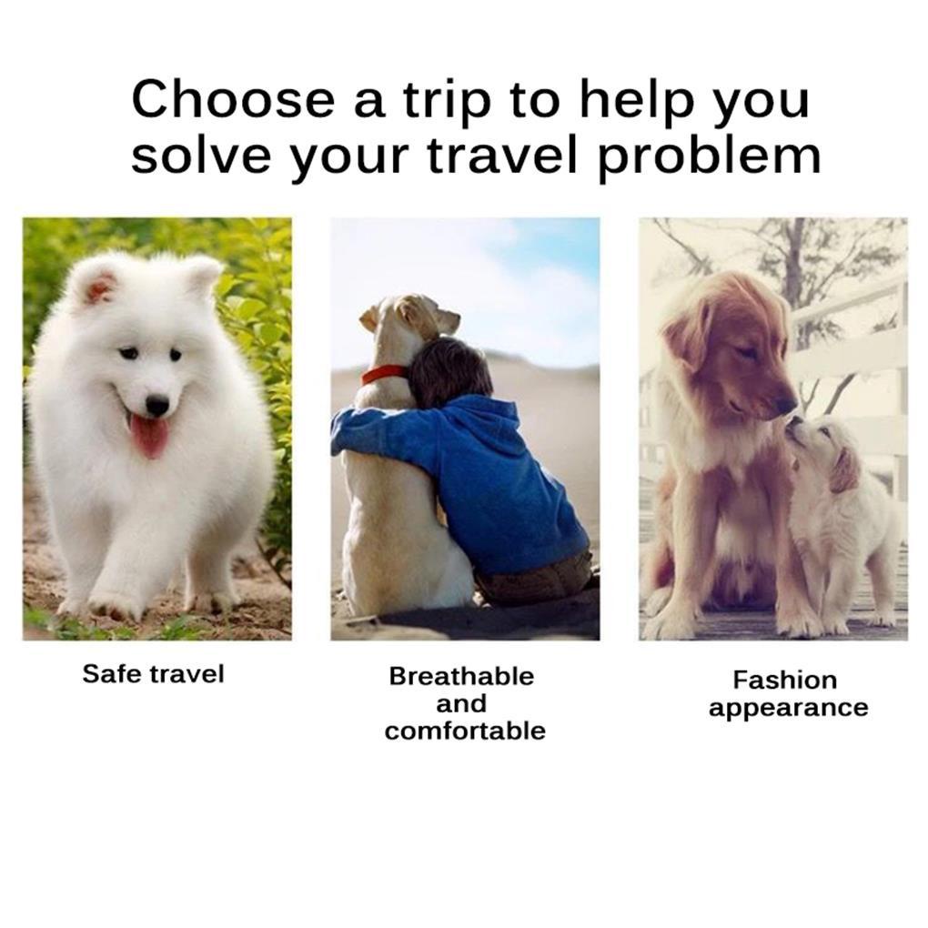 Túi Đựng Thú Cưng Thiết Kế Kiểu Lưới Thoáng Khí Di Động Tiện Lợi