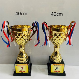 Cup bóng đá giá rẻ - cup 3116