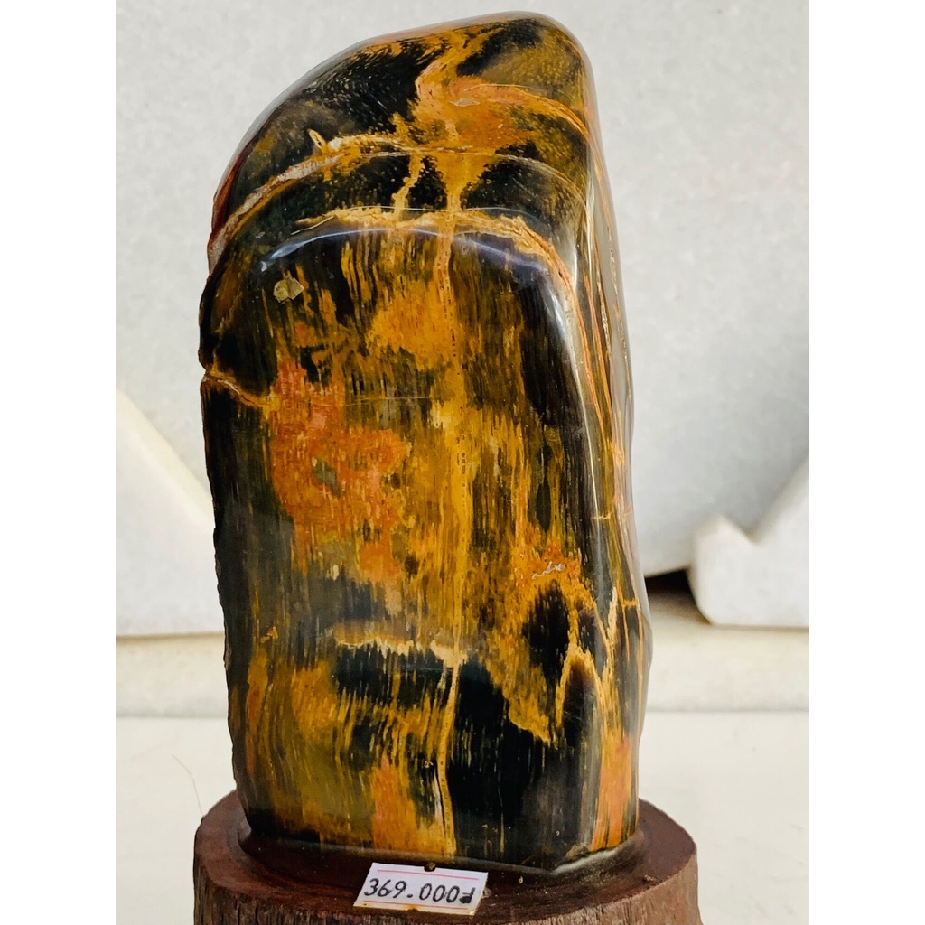 Gỗ Hoá Thạch tự nhiên .,......