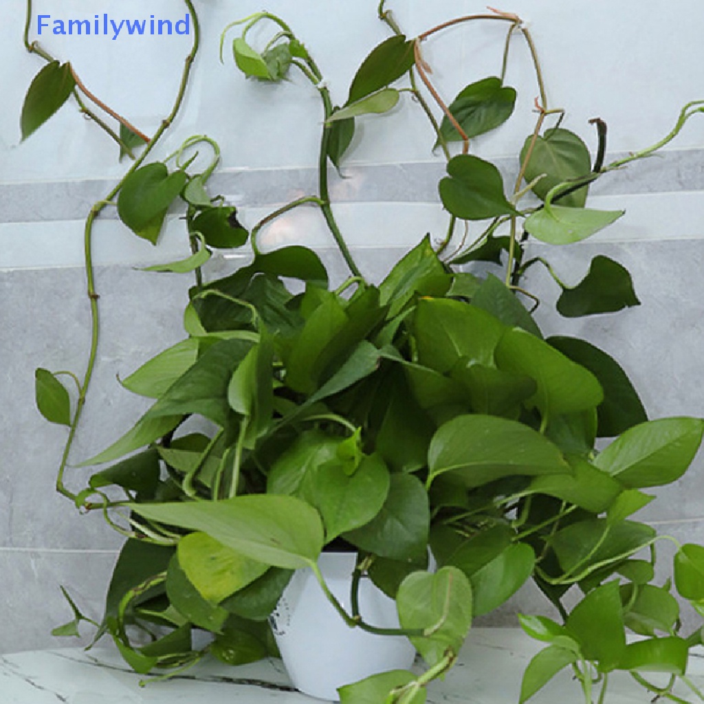 Set 50 Kẹp Cố Định Dây Leo Núi Vô Hình Tiện Dụng